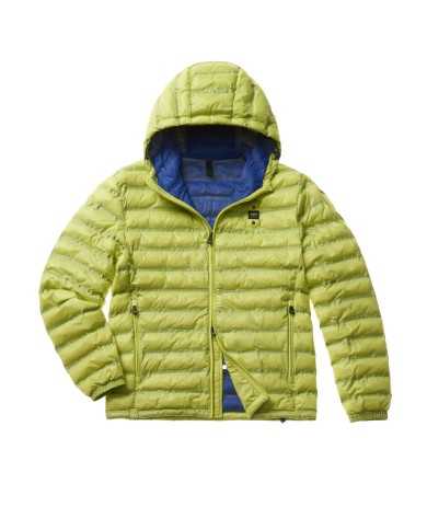 piumino verde certosa da uomo con cuciture nastrate a righe | BLAUER piumino verde certosa da uomo con cuciture nastrate a righe | BLAUER