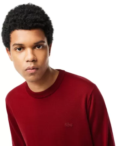 maglia uomo in lana Merinos | LACOSTE