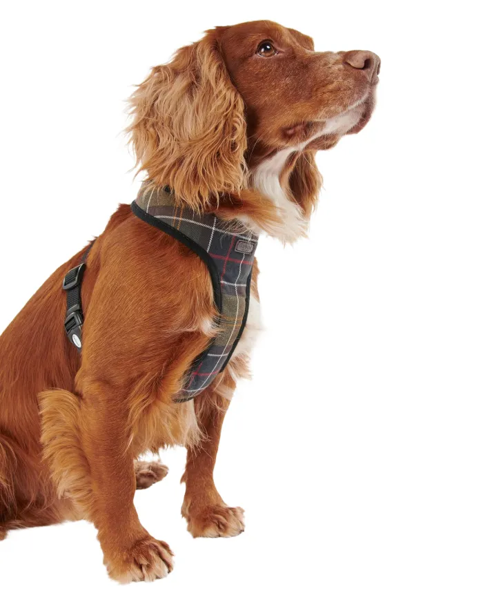 Pettorina Cani in cotone motivo tartan DAC0010 |BARBOUR Pettorina Cani in cotone motivo tartan DAC0010 |BARBOUR