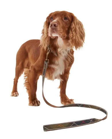 Guinzaglio per Cani in cotone con fantasia tartan DAC0053|BARBOUR Guinzaglio per Cani in cotone con fantasia tartan DAC0053|BARBOUR