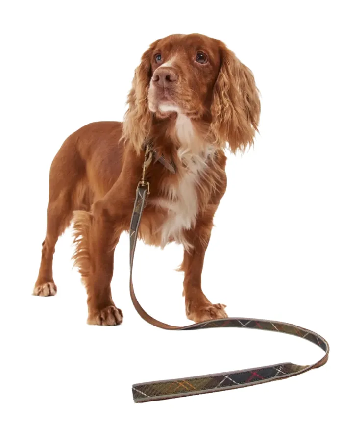 Guinzaglio per Cani in cotone con fantasia tartan DAC0053|BARBOUR Guinzaglio per Cani in cotone con fantasia tartan DAC0053|BARBOUR